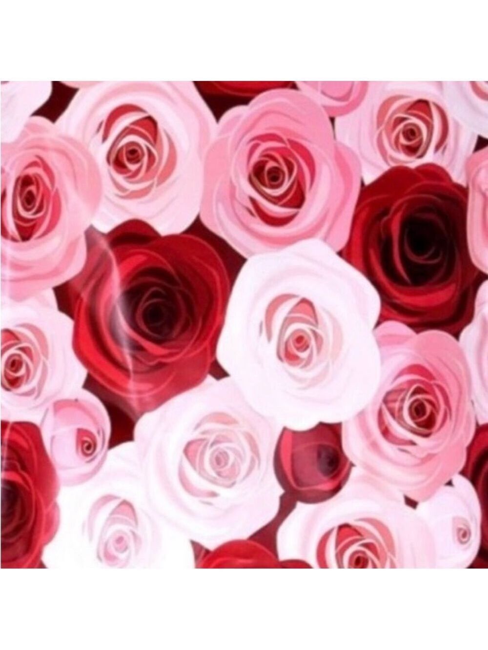 25 10x13 Poly Mailers Rose Garden Variety Bundle - Picture 5 of 8